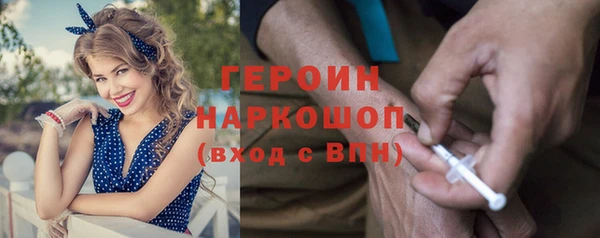 индика Богородск