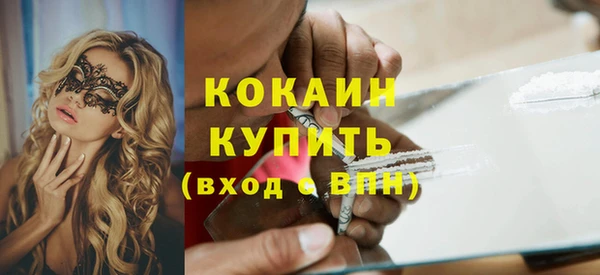 дмт Богородицк