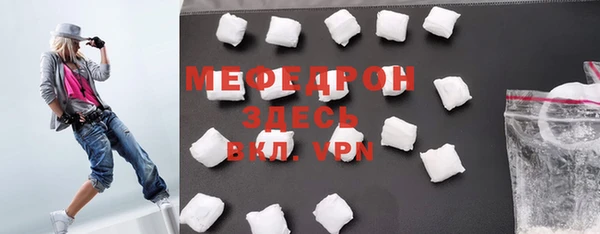 индика Богородск