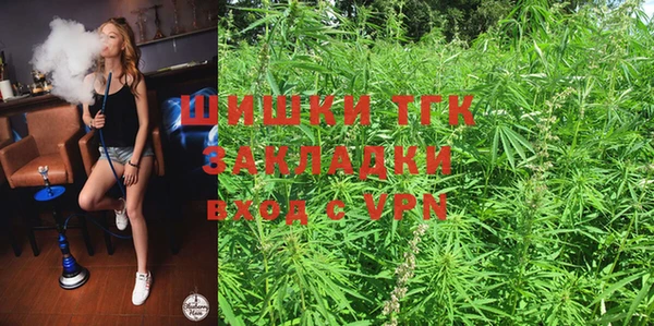 дмт Богородицк