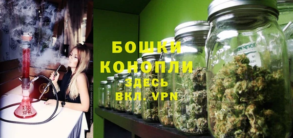дмт Богородицк