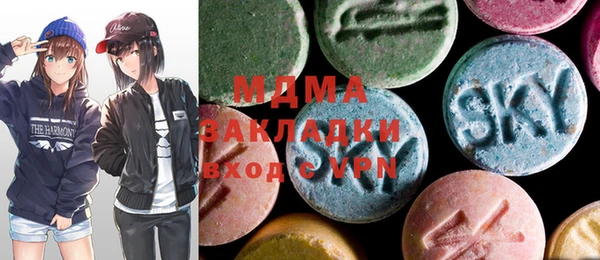 индика Богородск