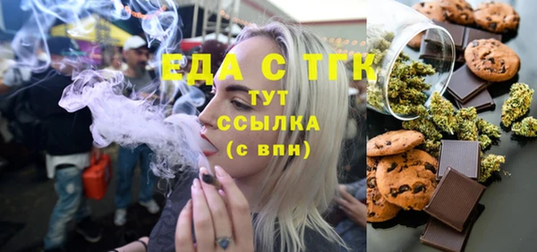 индика Богородск