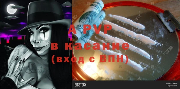 индика Богородск