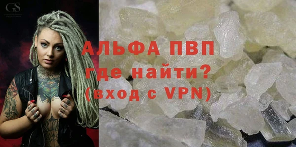 индика Богородск