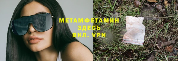 индика Богородск