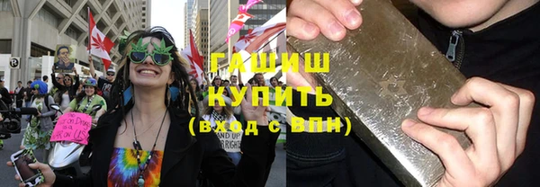 индика Богородск