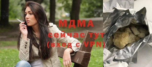 индика Богородск