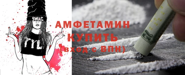 индика Богородск