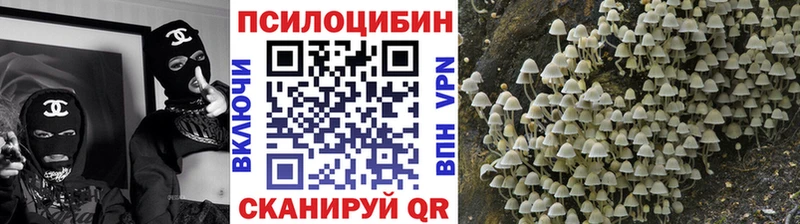 KRAKEN tor купить сайты Яранск Галлюциногенные грибы Psilocybe